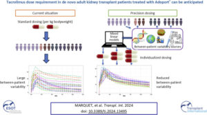 graphical abstract